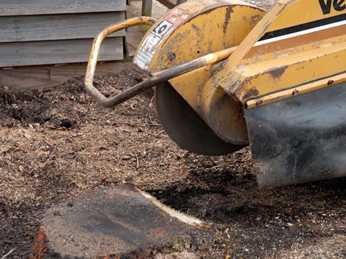 machine removing a stump